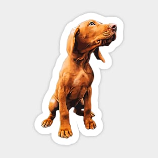 Vizsla Puppy - The Hungarian Vizsla Sticker